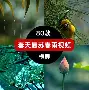 九游登录入口-包含转会期巴塞罗那造点机会——全明星赛节点到来，管理层满意，训练强度明显提升的词条